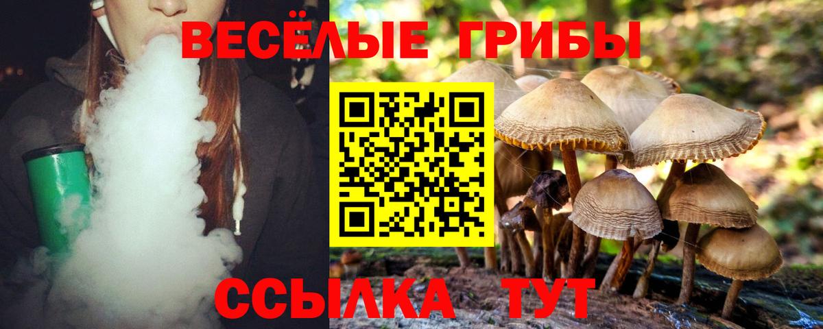 Галлюциногенные грибы Psilocybine cubensis Калач-на-Дону